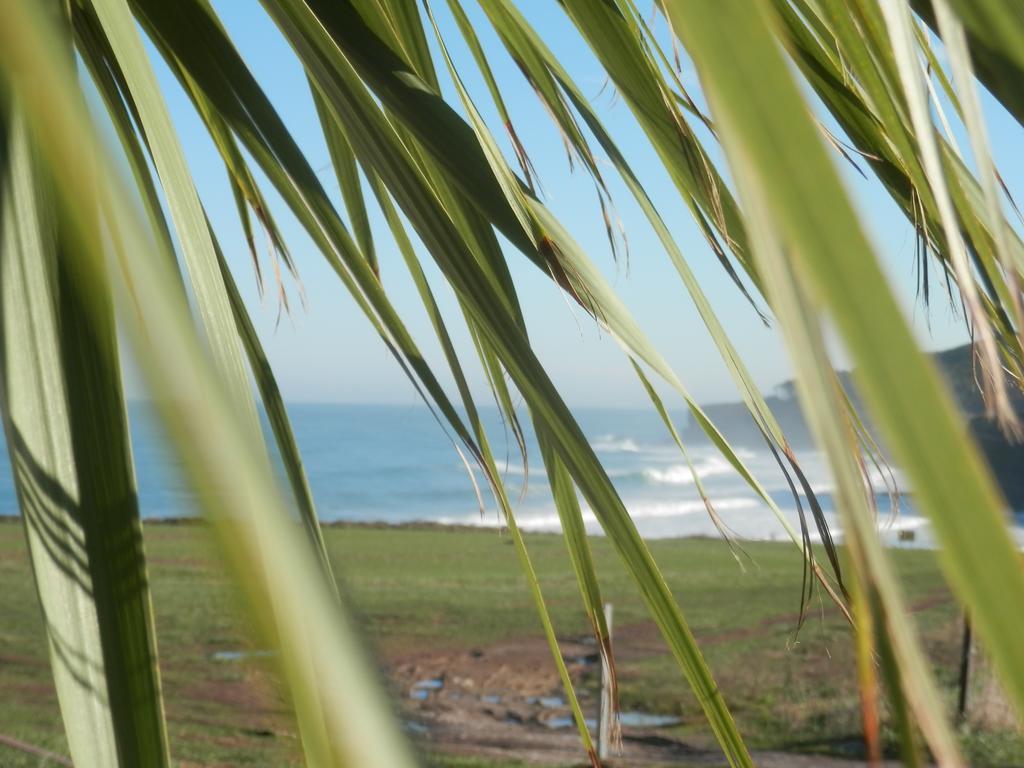 H.A.N.D Surf Hostel ラングレ エクステリア 写真